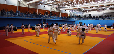 Participación de los alumnos de judo San Ignacio en la competición organizada por Escuelas Católicas