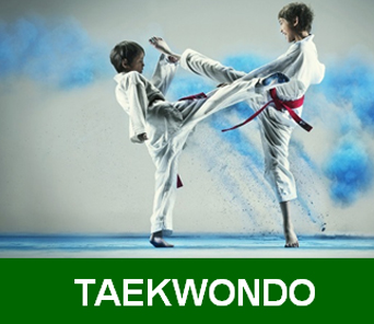 taekwondo 19