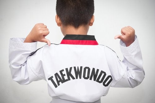 taekwondo art